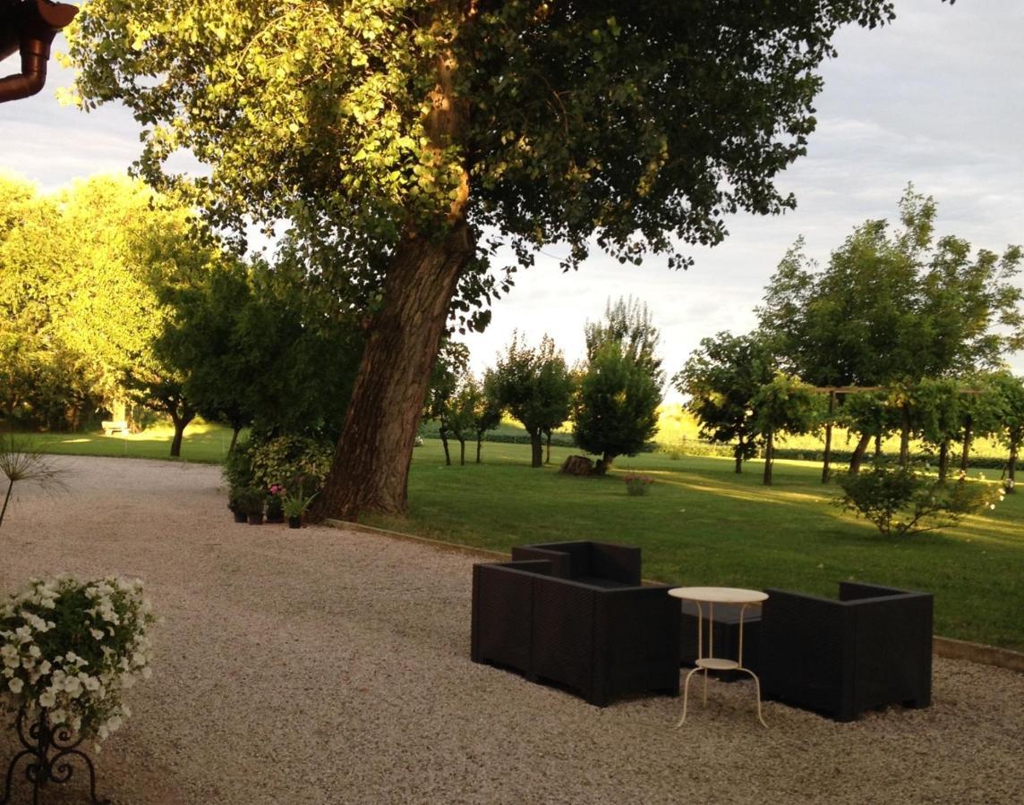 Antica Vigna Bed and Breakfast Chioggia Exteriör bild